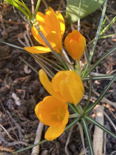 Wiosna nabiera rozpędu